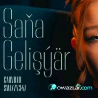 Carvillo & Swizzy347 - Sana Gelisyar