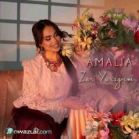 Amalia - Zar yuregim