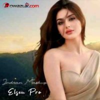 Elsen Pro - Indian Mashup